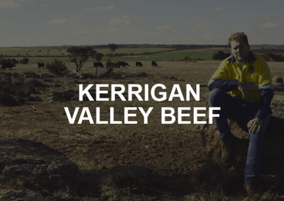 Kerrigan Valley Beef: Video Production